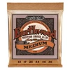Image de Ernie Ball Acoustic 2144 Earthwood Phosphor Bronze 13/56