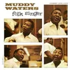 Image de Folk Singer ( 200 Gram Vinyl Record)