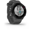 Image de Montre connectée sport - GARMIN - Forerunner 55 - Monterra Grey (Gris)