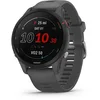 Image de Garmin Forerunner 255 - Montre GPS Multisports connectée de Running   Gray - Boîtier 46 mm
