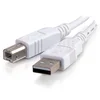 Image de C2G 81562 Câble USB 3 m Blanc