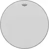 Image de BR-1124-00 Ambassador 24 Sablee
