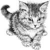 Image de Artemio Tampon en caoutchouc Cat PEE2599, bois