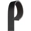Image de GATES K060295RPM Courroie Poly-V noir