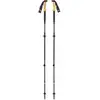 Image de Alpine Carbon Cork Trekking Poles, Appareil de fitness