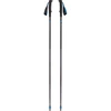 Image de Distance Z Trekking Poles, Appareil de fitness