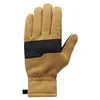 Image de Black Diamond Everyday Fleece Gloves M