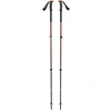 Image de Bâtons de trekking Trail, Appareil de fitness