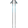 Image de Bâtons de trekking Distance Carbon Z, Appareil de fitness