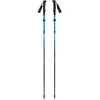 Image de Bâtons de trekking Distance Carbon FLZ, Appareil de fitness