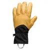 Image de Black Diamond Tour Gloves L