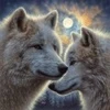 Image de SunsOut Moonlight Mates