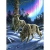 Image de SunsOut Loups sous l'Aurore