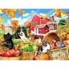 Image de SunsOut Amis de la Ferme