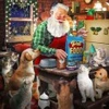 Image de SunsOut Pièces XXL - Le Père Noël et ses Animaux