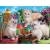 Image de SunsOut Kitten Tea Party