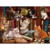 Image de SunsOut Chatons dans la Librairie