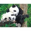 Image de SunsOut Pièces XXL - Copains dans le Bambou