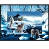 Image de SunsOut Kevin Daniel - Ice Wolves