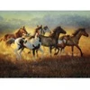 Image de SunsOut Cynthia Fisher - Running with the Wind