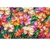 Image de SunsOut Jardin De Fleurs