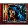 Image de SunsOut L'Ours Et Les Lucioles