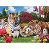 Image de SunsOut Parents Fiers