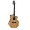 Image de GN20CE-NS Natural Satin