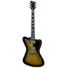 Image de ESP LTD Sparrowhawk Vintage Silver Sunburst Bill Kelliher Signature guitare électrique avec étui