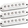 Image de SSL-5-CSET - Custom Staggered Strat Cal Kit Blanc