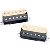 Image de APH-2s ZRZ Reverse Zebra Set 2 Slash AlNiCo 2 Pro