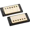 Image de Kit Humbuckers Antiquity Gold
