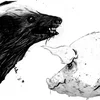 Image de Honey Badger/Pig
