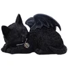 Image de Nemesis Now Chat Nap, Noir, 18 cm