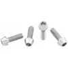 Image de Wolf Tooth Titanium Standard Head Raw Botlle Cage Bolts One Size