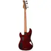 Image de P10 Alder-4 Ts En