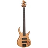 Image de M7 Swamp Ash-4 Nt En