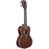 Image de Kala Striped Ebony Concert ukulélé
