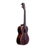 Image de Ebony Tenor Electro-Acoustique