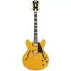 Image de D'Angelico Excel DC Amber guitare semi-hollow body avec housse
