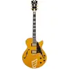Image de D'Angelico Excel SS Amber guitare semi-hollow body avec housse