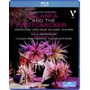 Image de Tchaikovski : Iolanta and the Nutcracker. Golovneva, Vasiliev, Schmidt, Vieira, Meir Wellber, Kaydanovskiy. [Blu-ray]