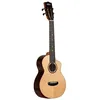 Image de Contour collection Solid Gloss Spruce Rosewood Tenor Cutaway + housse