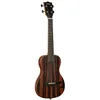 Image de Solid body Striped Ebony Tenor + housse
