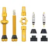 Image de Wolf Tooth Kit de Tige de Valve sans Chambre à air 44 mm Doré