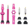 Image de Wolf Tooth Kit de Tige de Valve sans Chambre à air 44 mm Rose