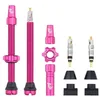 Image de Wolf Tooth Kit de Tige de Valve sans Chambre à air 60 mm Rose