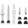 Image de Wolf Tooth Kit de Tige de Valve sans Chambre à air 44 mm Argent Brut