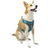 Image de Kurgo Journey (TM) Chiens Course à Pied Harnais, Chien Marche Harnais, Chien randonnée Harnais, Harnais pour Chien, X-Large, Grey/Blue (2018)