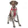 Image de Kurgo K01939 Harnais pour Chien Petits/Moyens/Grands Réfléchissant pour Le Footing la Marche/la Randonnée Journey Air Style